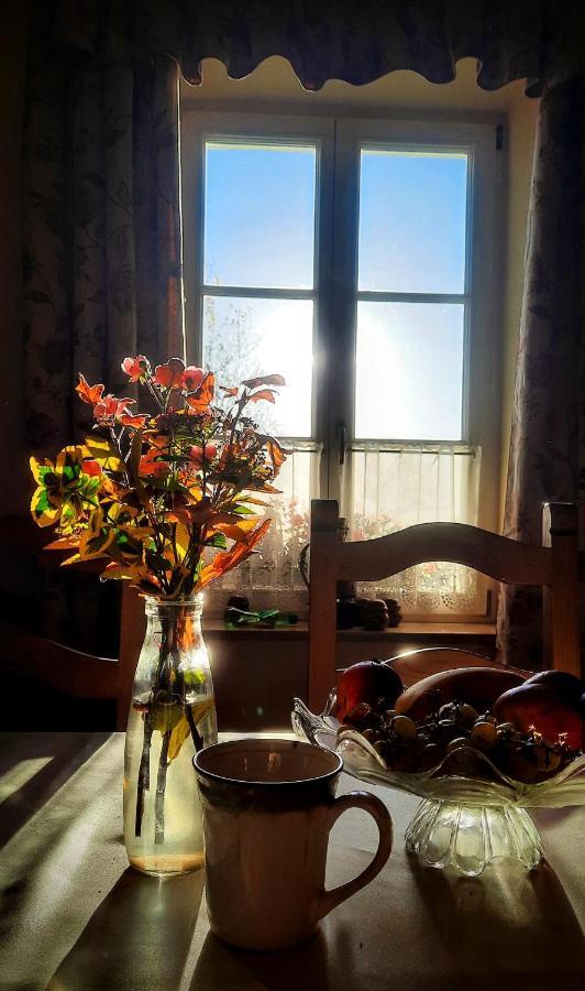 Dwor Na Wichrowym Wzgorzu Bed and Breakfast Przybysławice Eksteriør billede