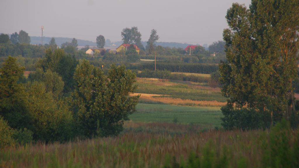 Dwor Na Wichrowym Wzgorzu Bed and Breakfast Przybysławice Eksteriør billede
