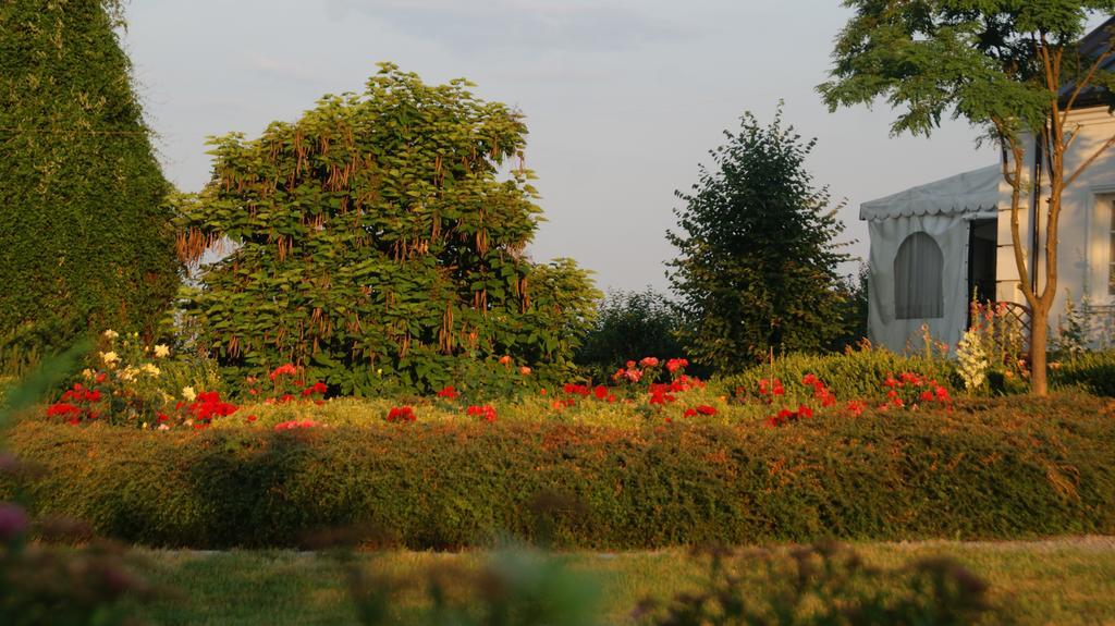 Dwor Na Wichrowym Wzgorzu Bed and Breakfast Przybysławice Eksteriør billede