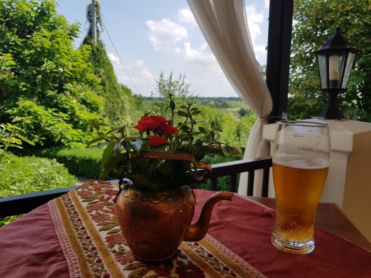 Dwor Na Wichrowym Wzgorzu Bed and Breakfast Przybysławice Eksteriør billede
