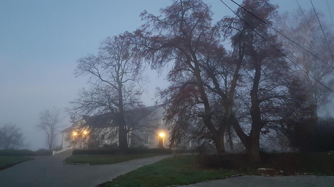 Dwor Na Wichrowym Wzgorzu Bed and Breakfast Przybysławice Eksteriør billede
