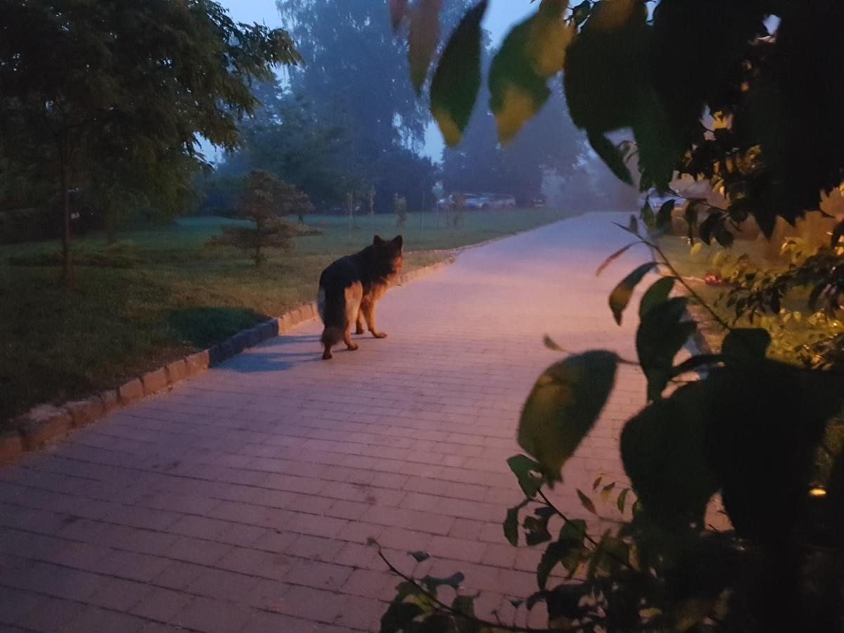 Dwor Na Wichrowym Wzgorzu Bed and Breakfast Przybysławice Eksteriør billede